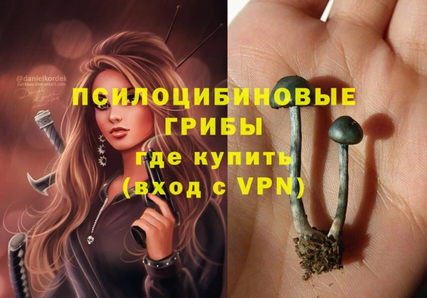 бошки Богданович