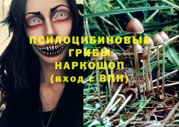 mix Бородино