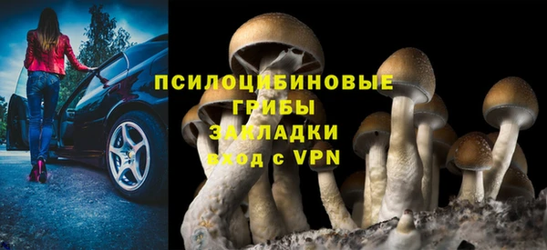 бошки Богданович