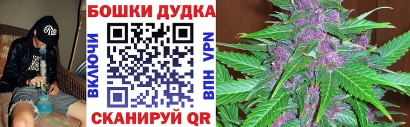 Бошки Шишки ГИДРОПОН  Ярославль 